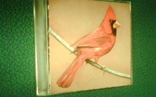 CD : ALEXISONFIRE : Old Crows / Young Cardinals (Sis.pk:t)