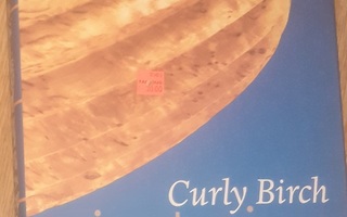 Curly birch - Visakoivu