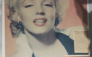 Marilyn Monroe -juliste / taulu