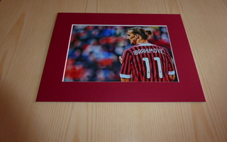 Uusi Zlatan Ibrahimovic AC Milan valokuva ja paspis
