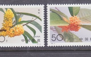 Kiina 1995-6 kukkia