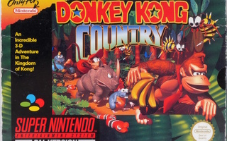 Donkey Kong Country