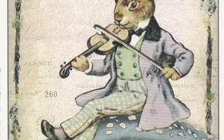 Jänis soittaa viulua (Tausendschön-kortti)