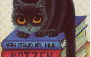 Anna Hollerer - Musta kissa kirjakasan päällä