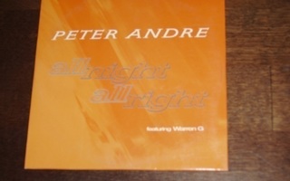 CD Single Peter Andre - All Night All Right