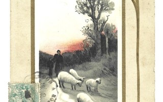 Vanha kortti: Paimen, lampaat, mistelinoksa,  1905