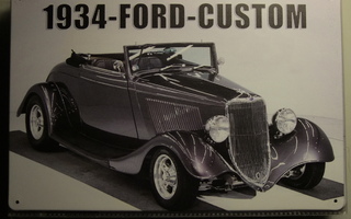 Peltikyltti Ford custom -34
