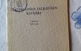 italialainen jalkaväen kivääri terni