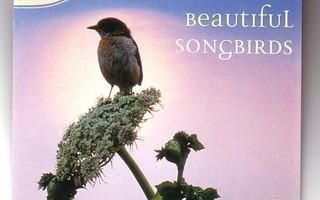 cd, Klaus Back & Tina Beler: Beautiful Songbirds [meditation