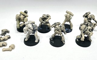 WH40K - 7kpl Space Marines (Rogue Trader) [K74]