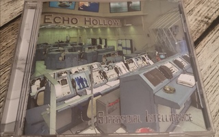 Echo hollow- superficial intelligence