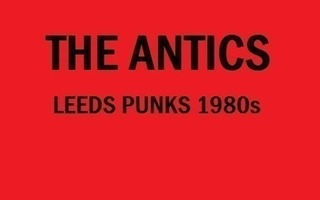 THE ANTICS leeds punks 1980s ...uk classic