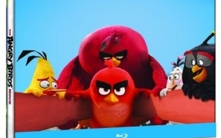 The Angry Birds Movie  -  Steelbook Edition  -   (Blu-ray)