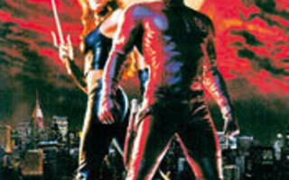 Daredevil - 2-Levyn Special Edition - 2 DVD