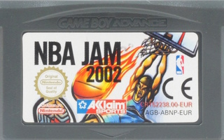 NBA Jam 2002