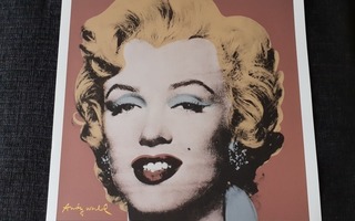 Andy Warhol Litografia sign.numeroitu katso harvinainen.