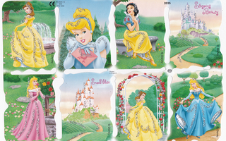 MLP 2035 Disney Prinsessat Hileinen Kiiltokuva-arkki