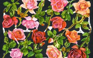 EAS 3090 - Kiiltokuva-arkki - Kauniit punaiset ruusut