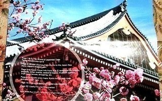 Kyoto visitor´s guide