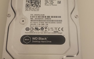 1TB WD Black 3,5" 7200rpm sata kovalevy