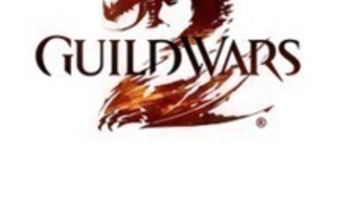 PC Guild wars 2