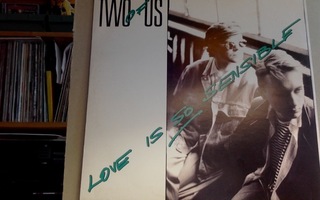 TWO OF US :: LOVE IS SO SENSIBLE : VINYYLI  MAXI-SINGLE 1986