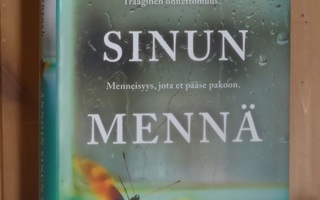 Mackintosh Clare: Annoin sinun mennä