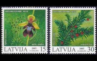 Latvia 587-8 ** Rauhoitettuja kasveja (2003)