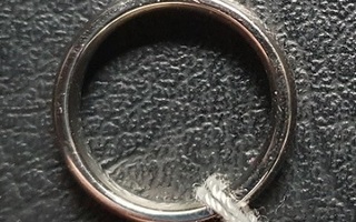 Titaanisormus halkaisija 16 mm
