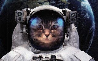 Vadim Sadovski: Kissa-astronautti