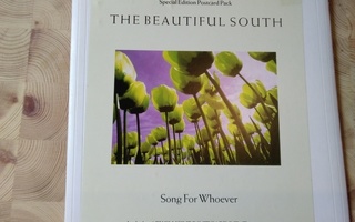 The Beautiful South 7 " vinyylisingle SPECIAL EDITION