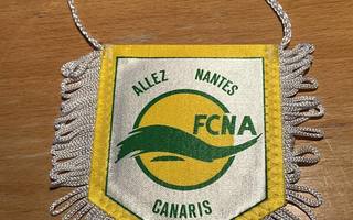 FC Nantes -viiri