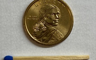 Sacagawea dollar " Native American Dollar"