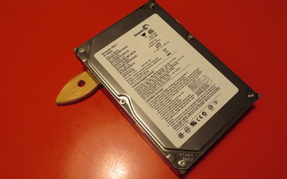 Seagate Barracuda 7200 40GT 3.5" IDE kiintolevy