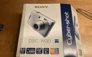 Sony DSV-w30 camera