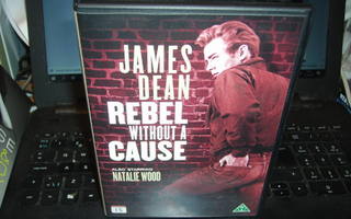DVD : Nuori kapinallinen - Rebel without A Cause