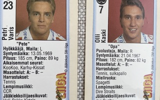 SM-LIIGA 1992-93 TARRAT ÄSSÄT