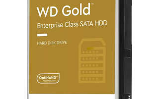 Western Digital Gold 3,5" 22000 GB Serial ATA III