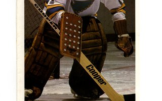 Mike Liut/Mike Zuke St. Louis Blues Team Issue Photo