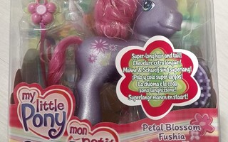 G3 My little pony, Petal Blossom (2003, MOC)