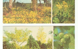 Käyttämättömiä virolaisia postikortteja 1970-luvulta