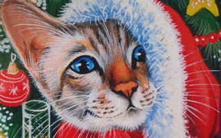 Irina Garmashova kissa jouluvaatteissa