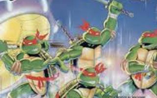 Teenage Mutant Hero Turtles (CIB) NES (Käytetty)