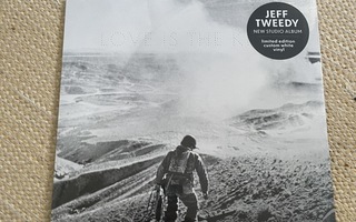 Jeff Tweedy love is the king  LP