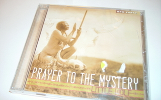 CD Little Wolf Band - Prayer to Mystery  (Sis.postikulut)