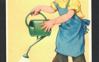 Lapsi - Tyttö kastelee kukkia - Kortti 1940-50-luvulta