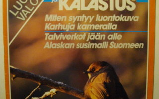 Metsästys ja kalastus Nro 11/1990 (13.11)