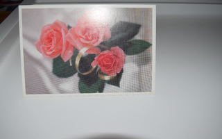 postikortti (A) ruusu