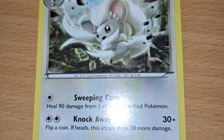 Pokemon - Cinccino (89/124) - XY Fates Collide uncommon card