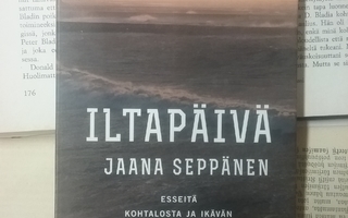 Jaana Seppänen - Iltapäivä (pokkari)